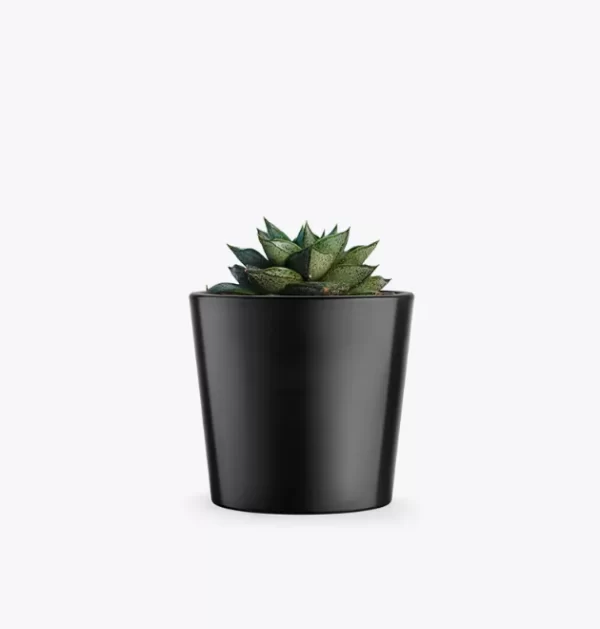 product-image-3_optimized Augue Neque