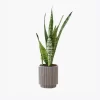 product-image-6_optimized Augue Neque