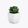 product-image-9_optimized Augue Neque