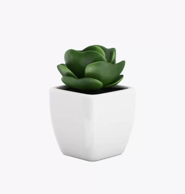 product-image-9_optimized Augue Neque